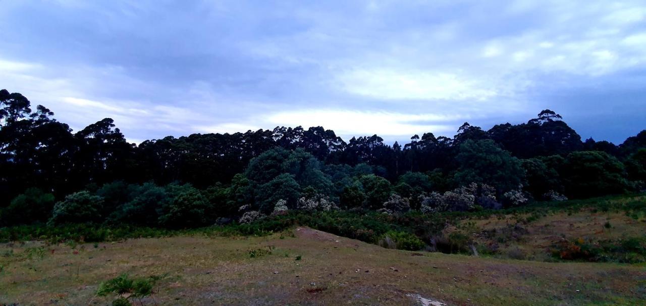 Ruby'S Cottage Farm Stay 亚瑟港 外观 照片