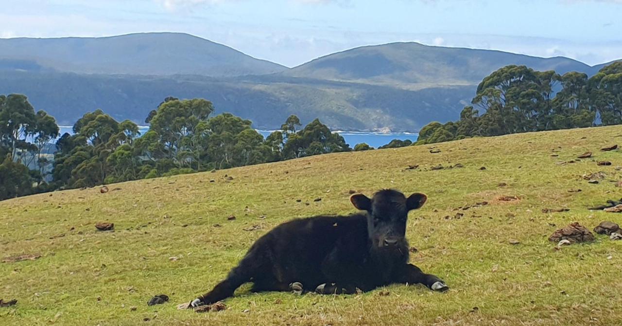 Ruby'S Cottage Farm Stay 亚瑟港 外观 照片