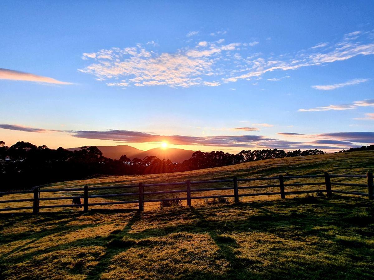 Ruby'S Cottage Farm Stay 亚瑟港 外观 照片