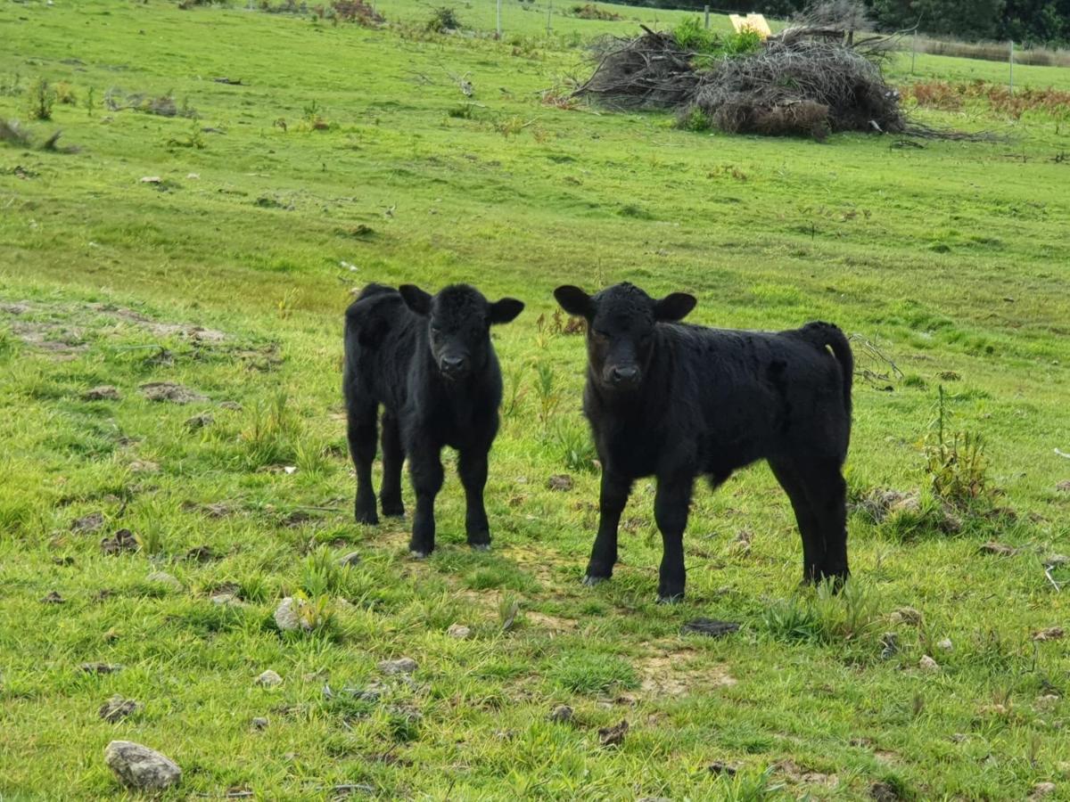 Ruby'S Cottage Farm Stay 亚瑟港 外观 照片
