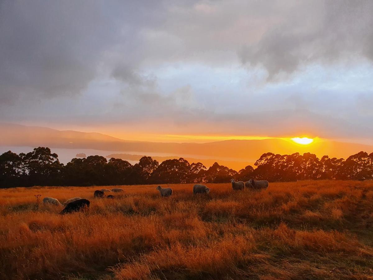 Ruby'S Cottage Farm Stay 亚瑟港 外观 照片