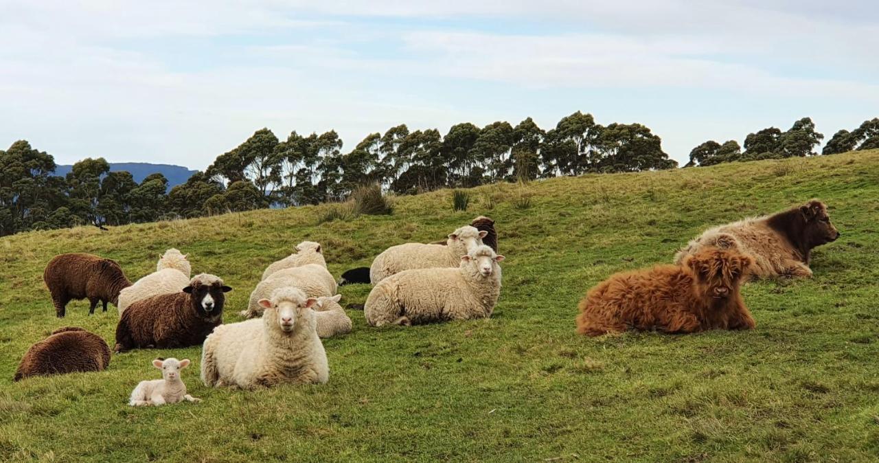 Ruby'S Cottage Farm Stay 亚瑟港 外观 照片