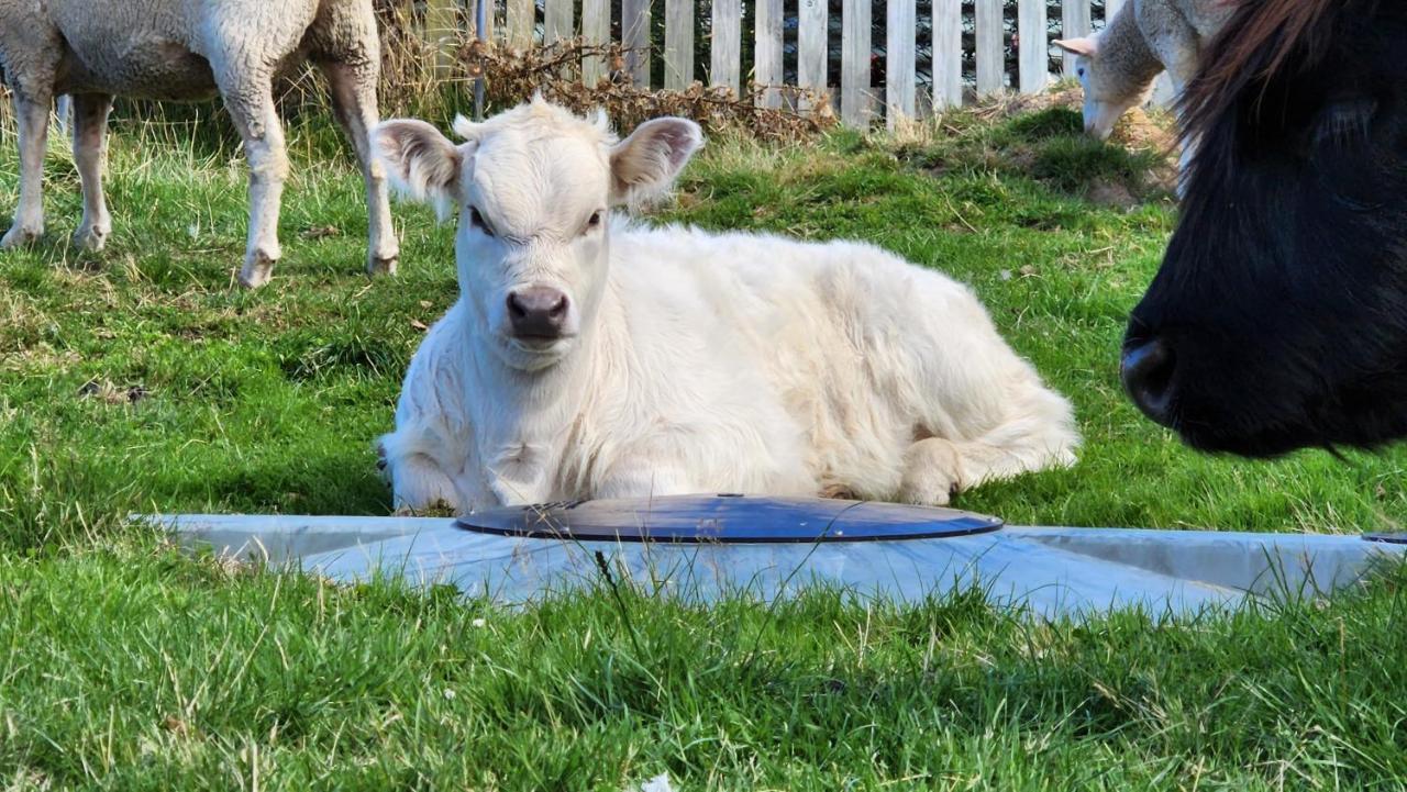 Ruby'S Cottage Farm Stay 亚瑟港 外观 照片