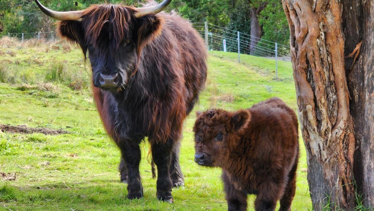 Ruby'S Cottage Farm Stay 亚瑟港 外观 照片