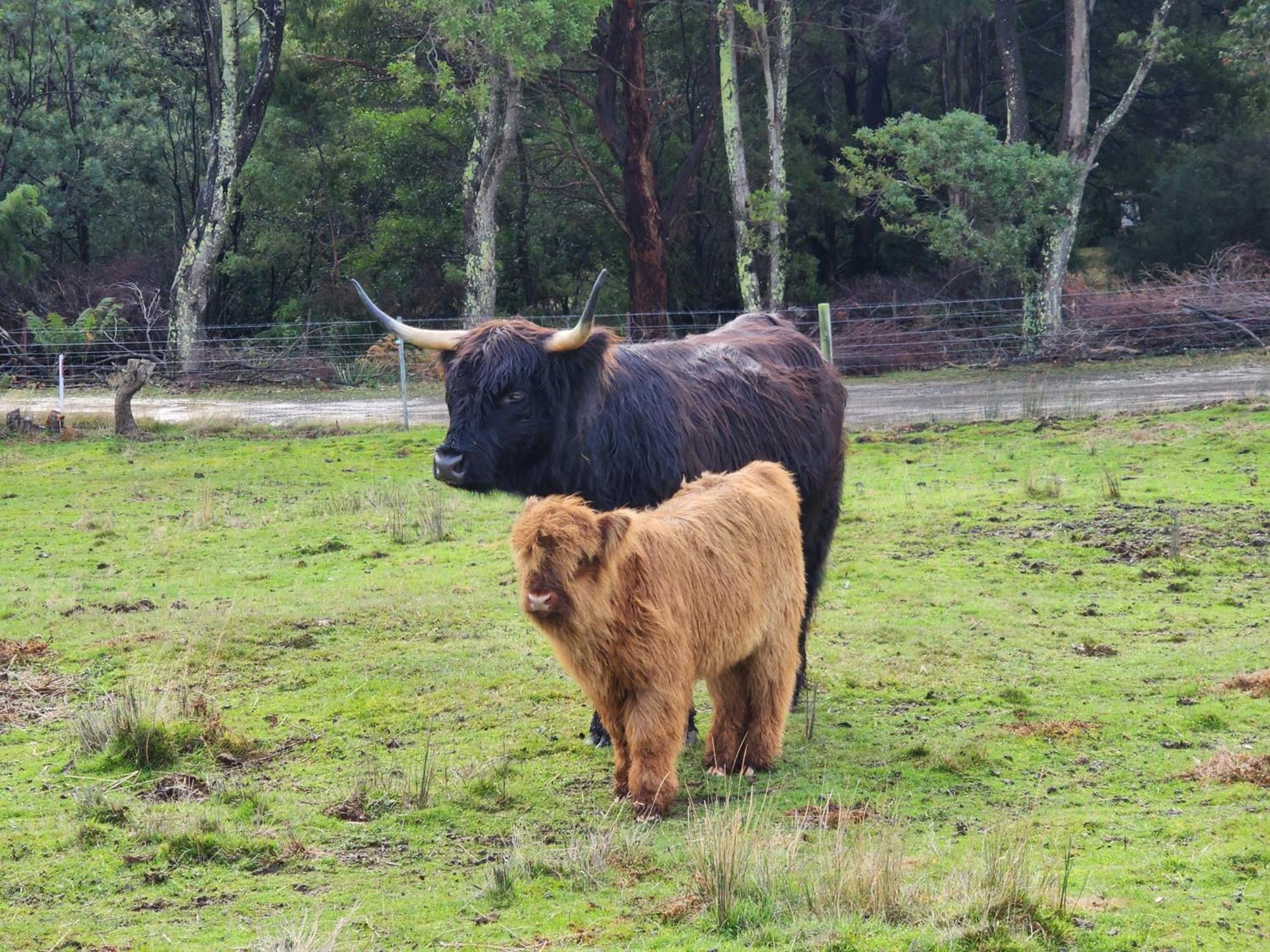 Ruby'S Cottage Farm Stay 亚瑟港 外观 照片
