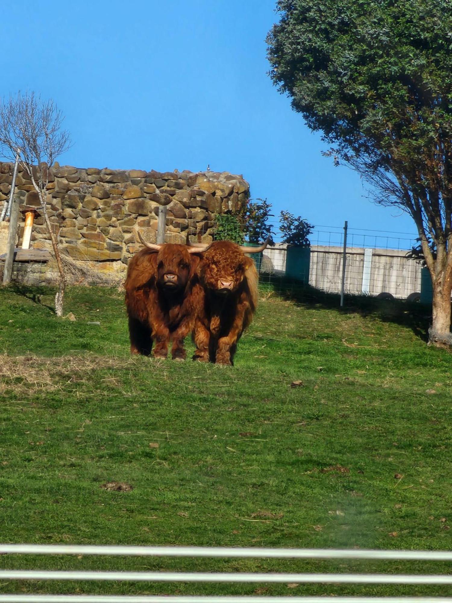 Ruby'S Cottage Farm Stay 亚瑟港 外观 照片