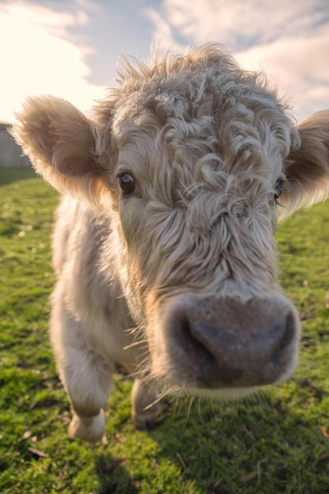 Ruby'S Cottage Farm Stay 亚瑟港 外观 照片