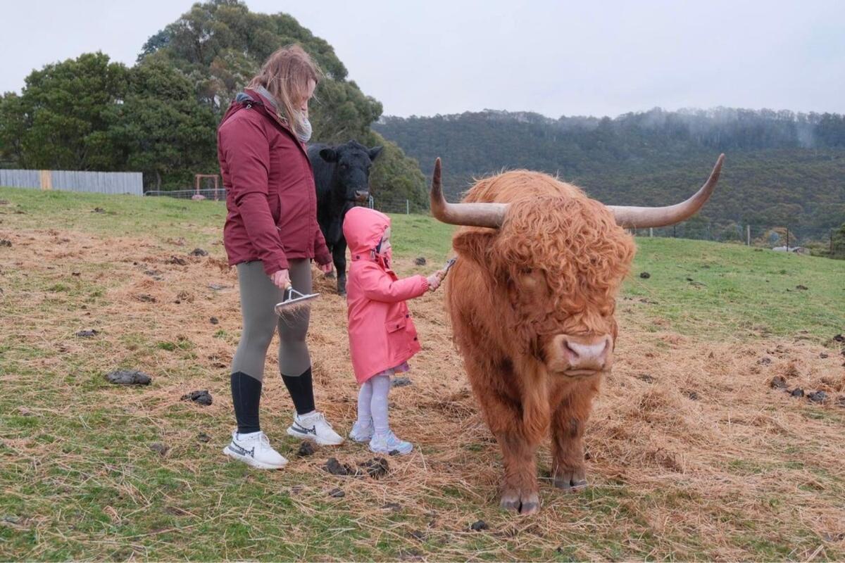 Ruby'S Cottage Farm Stay 亚瑟港 外观 照片